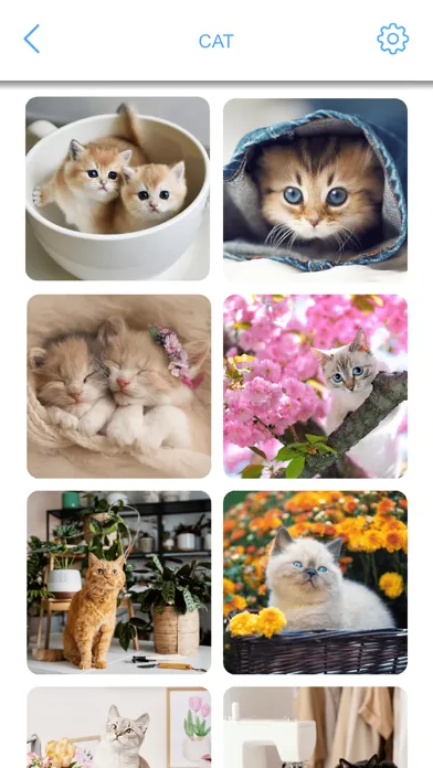 تصاویر Jigsaw Puzzles - Rotate Puzzle