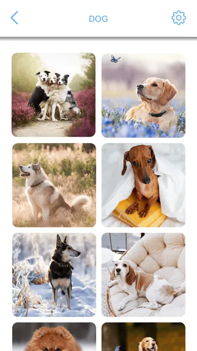 تصاویر Jigsaw Puzzles - Rotate Puzzle