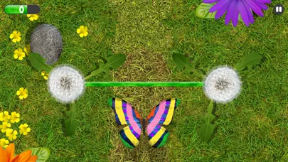 تصاویر Bug Art