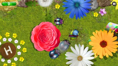 تصاویر Bug Art