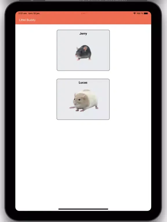 تصاویر LittleBuddy mouse game iPad 