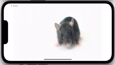 تصاویر LittleBuddy mouse game