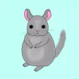 Little Chinchilla