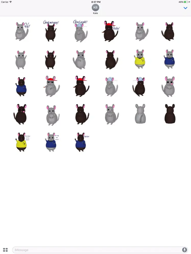 Little Chinchilla iPad  스크린샷