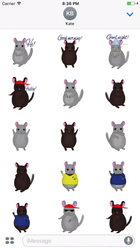 Little Chinchilla 스크린샷