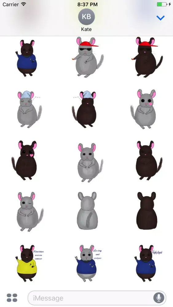 Little Chinchilla 스크린샷