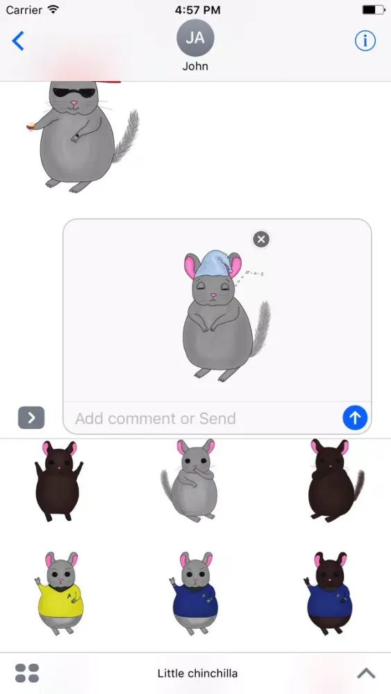 Little Chinchilla 스크린샷