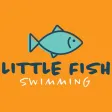 Little Fish Swimming