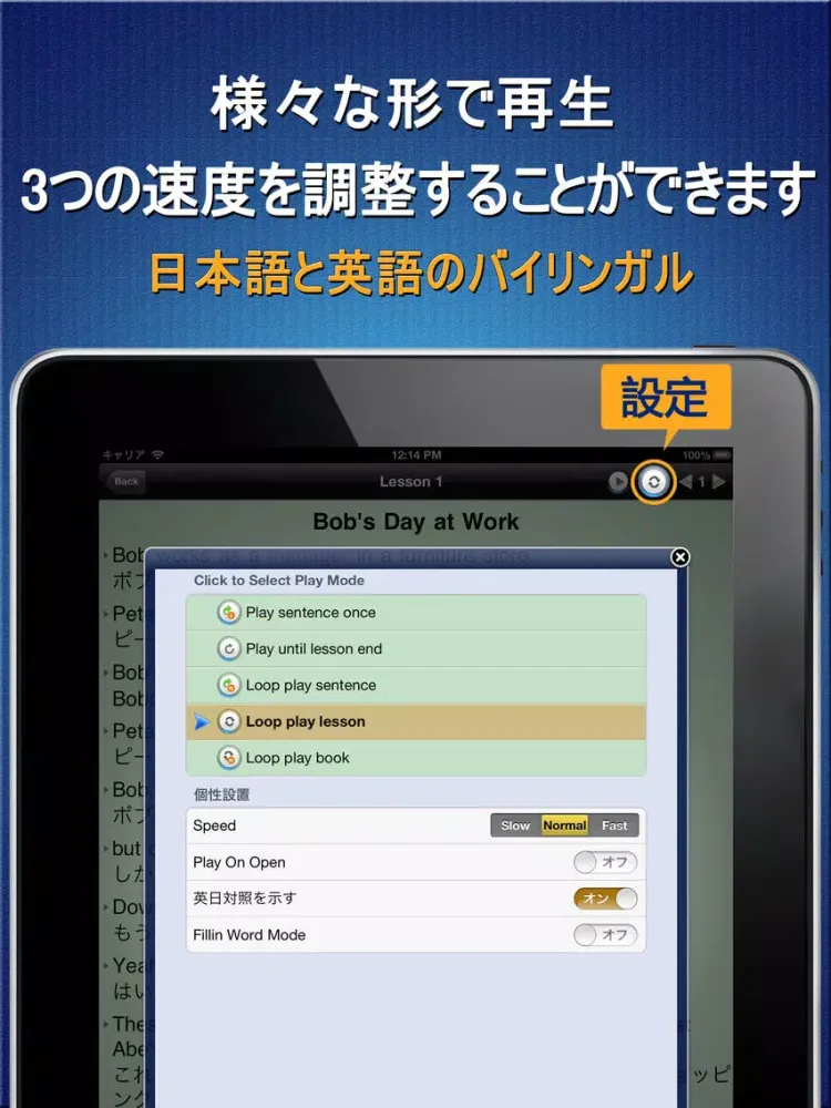 Standard American English with full text Japanese dictionary free HD iPad  Ekran Görüntüleri