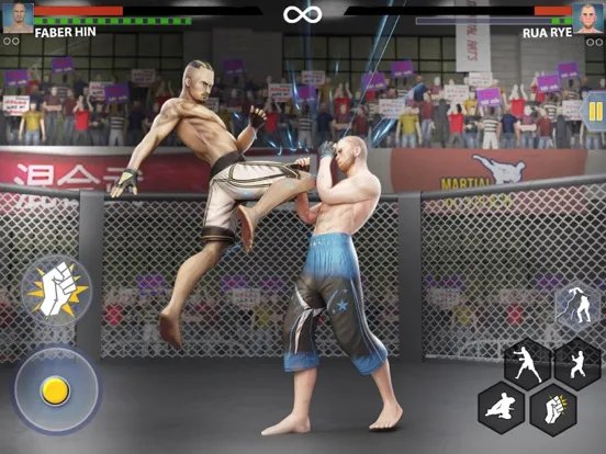 Martial Arts Fight Games 24 iPad 應用截圖
