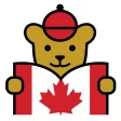 Maple Bear Connect
