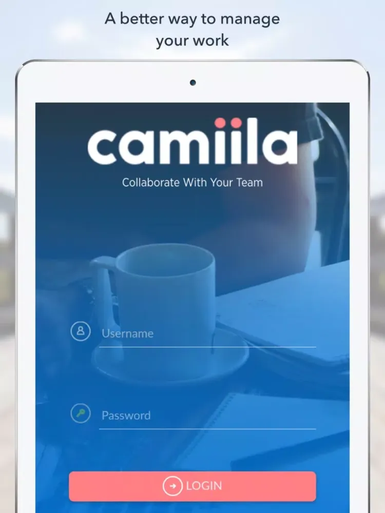 Camiila iPad  Ekran Görüntüleri