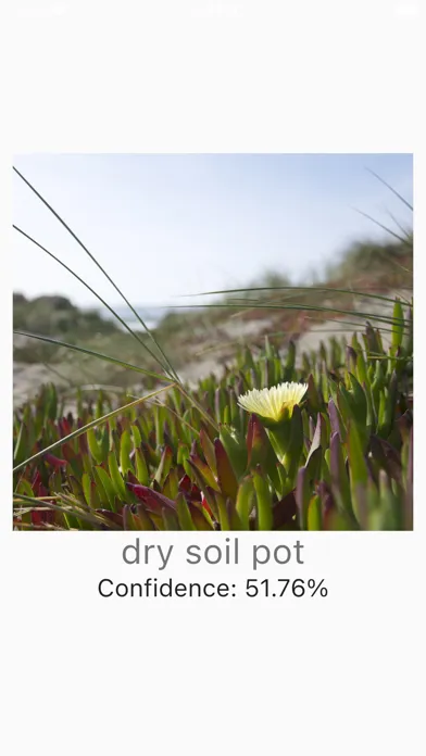 Zrzuty ekranu Plant Super AI