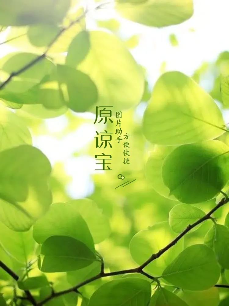 约单-发现美好生活 iPad  স্ক্রিনশট
