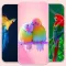 Birds live Wallpaper - 4k