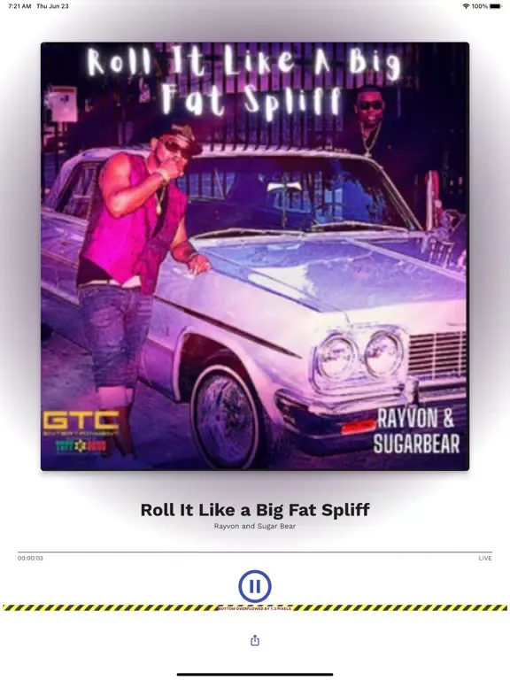 Platinum Vibes Radio iPad 应用截图