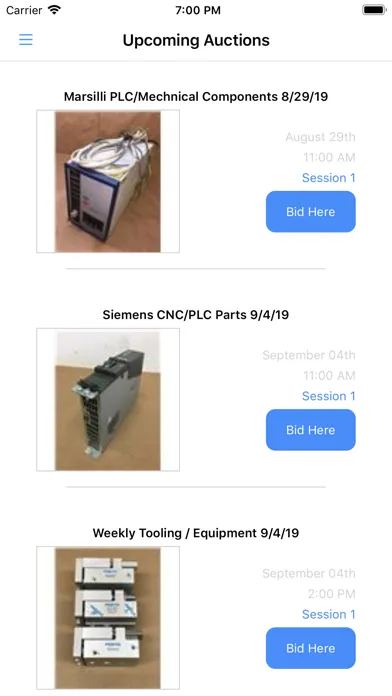 Tangkapan layar BTM Industrial Auctions