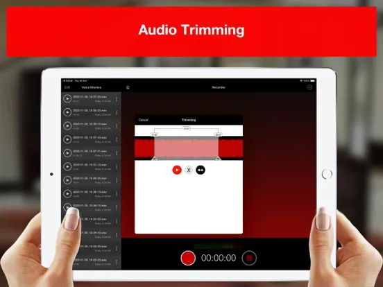 Voice Recorder - Audio Record iPad  Screenshots