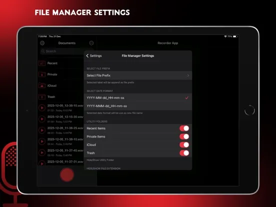 Audio Recorder Pro and Editor iPad  Ekran Görüntüleri
