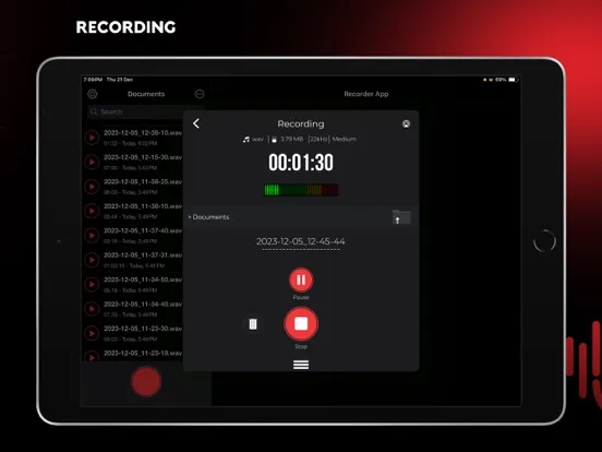 Audio Recorder Pro and Editor iPad  Ekran Görüntüleri