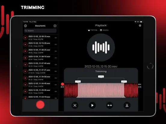 Audio Recorder Pro and Editor iPad  Ekran Görüntüleri