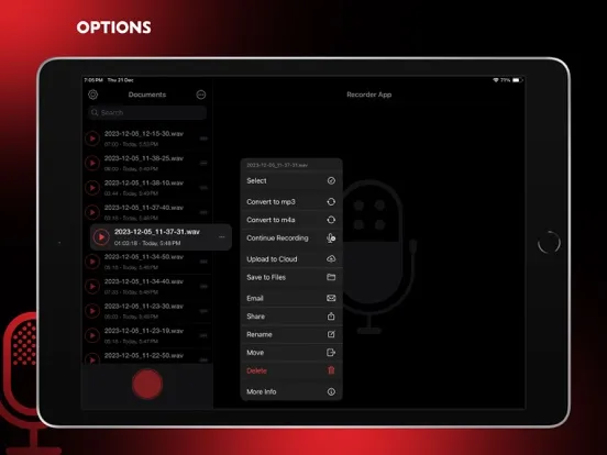 Audio Recorder Pro and Editor iPad  Ekran Görüntüleri