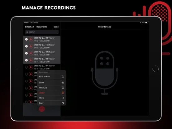 Audio Recorder Pro and Editor iPad  Ekran Görüntüleri