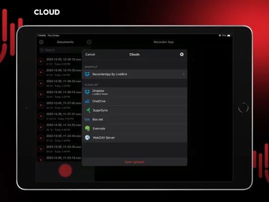 Audio Recorder Pro and Editor iPad  Ekran Görüntüleri