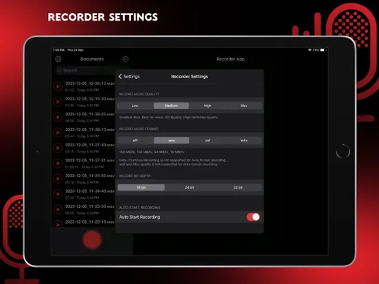 Audio Recorder Pro and Editor iPad  Ekran Görüntüleri