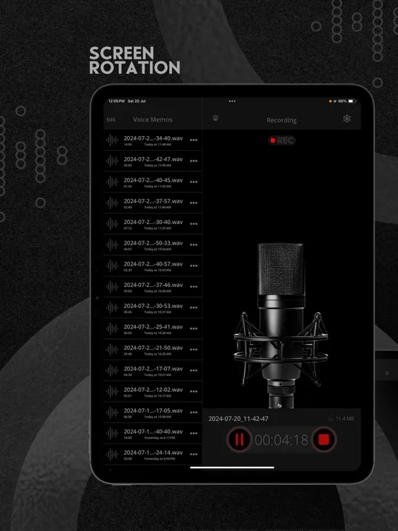 Tangkapan layar Voice Recorder - Record & Edit iPad 