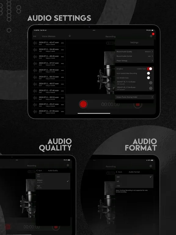Tangkapan layar Voice Recorder - Record & Edit iPad 