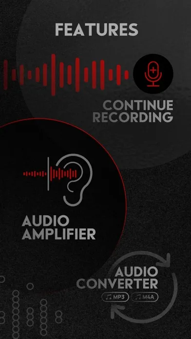 Tangkapan layar Voice Recorder - Record & Edit