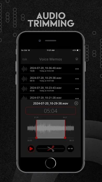Tangkapan layar Voice Recorder - Record & Edit