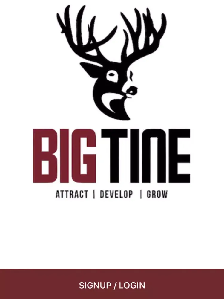 Zrzuty ekranu Big Tine iPad 