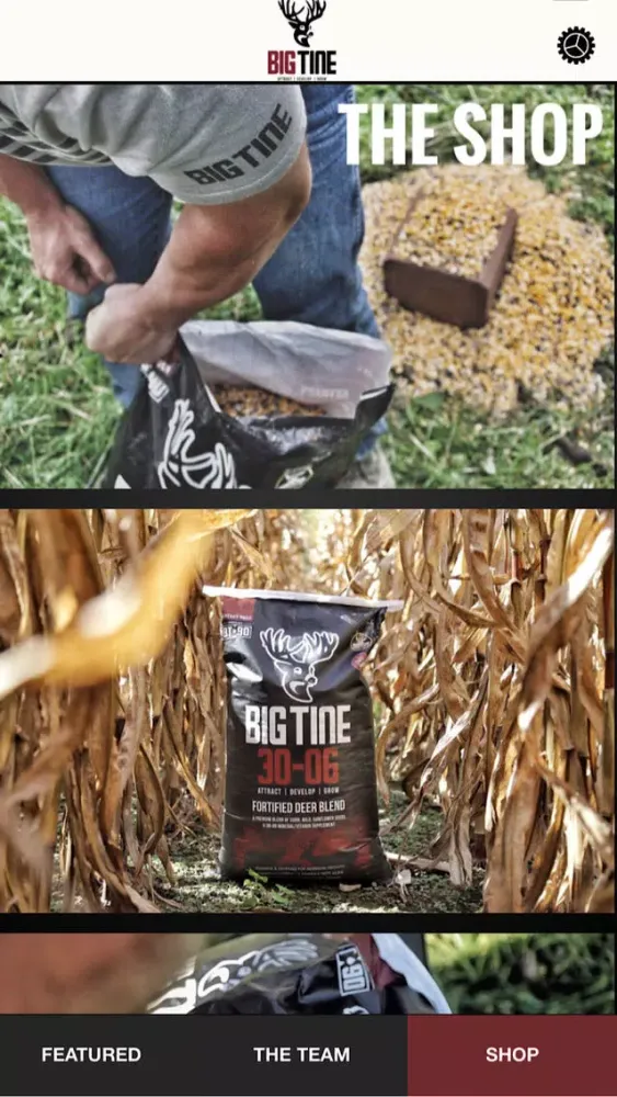 Zrzuty ekranu Big Tine