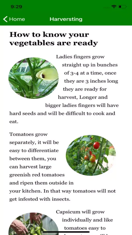 Tangkapan layar The Green Thumb Box