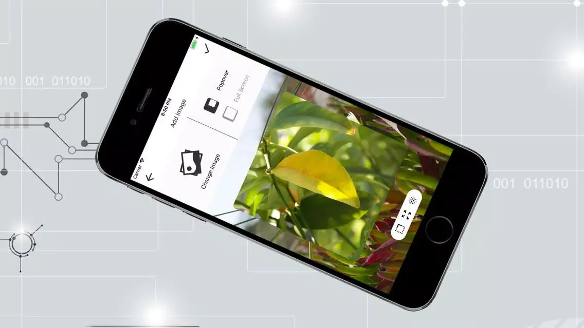 صور Livepicture Smart Wallpaper