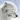 arctic fox wallpaper