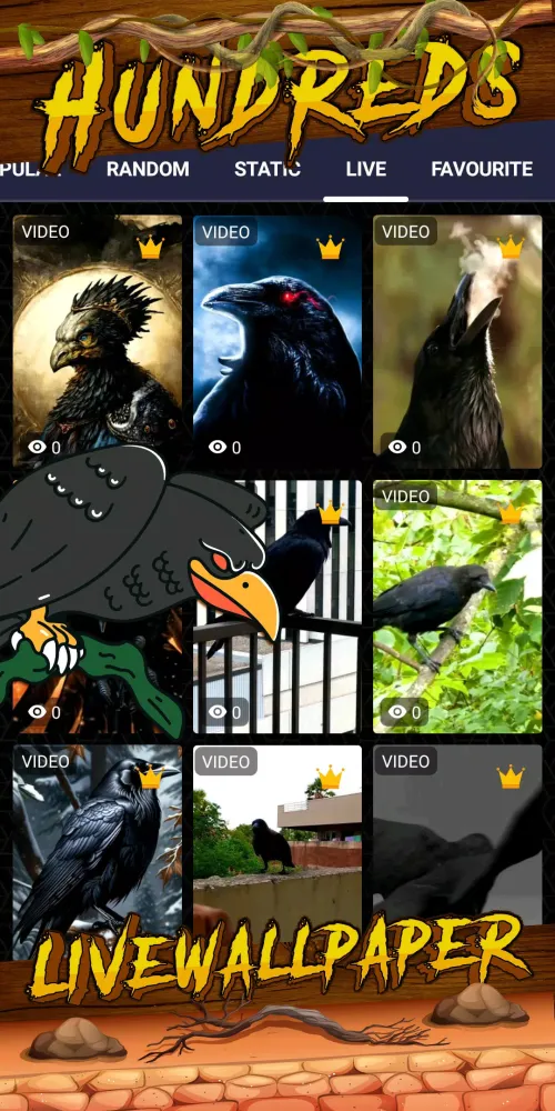 Ảnh chụp màn hình của crow wallpaper