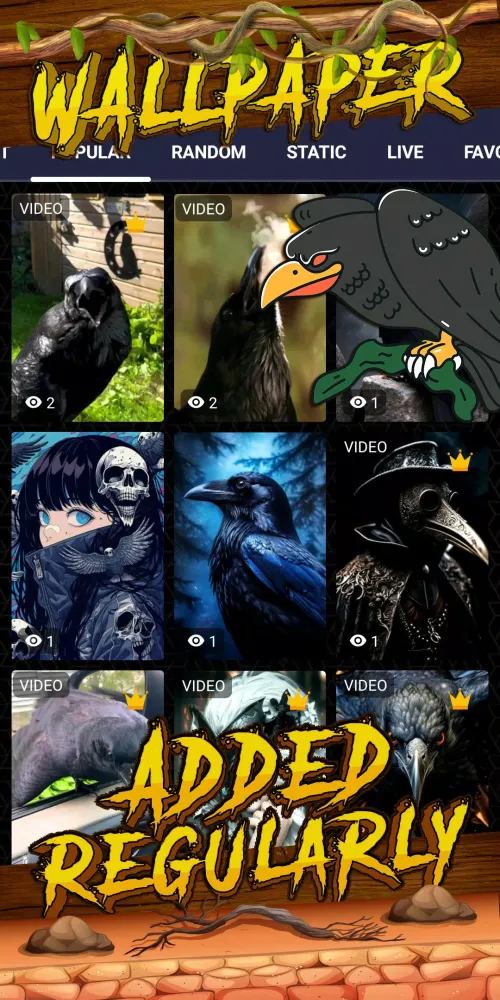 Ảnh chụp màn hình của crow wallpaper