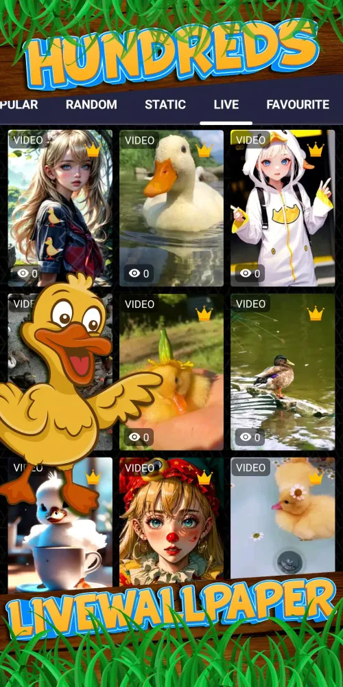 duck wallpaper Screenshots