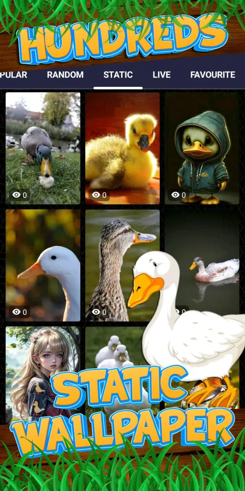 duck wallpaper Screenshots