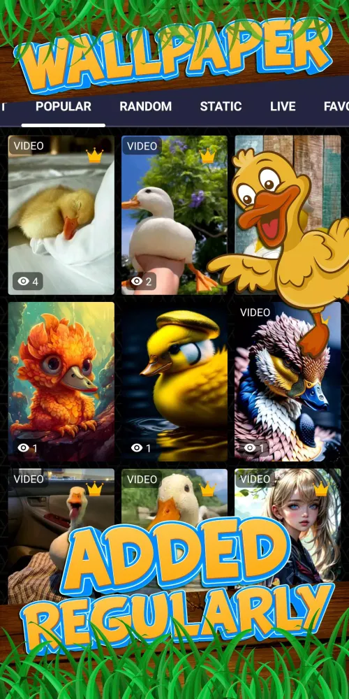 duck wallpaper Screenshots