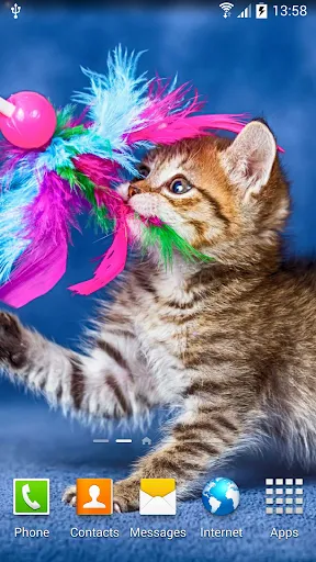 Cat Live Wallpaper应用截图