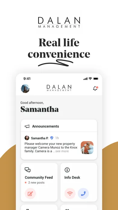 Скриншоты Dalan Management