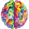 BrainBoosters Basics BrainBoosters Basics