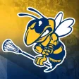 LI Yellow Jackets
