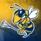 LI Yellow Jackets