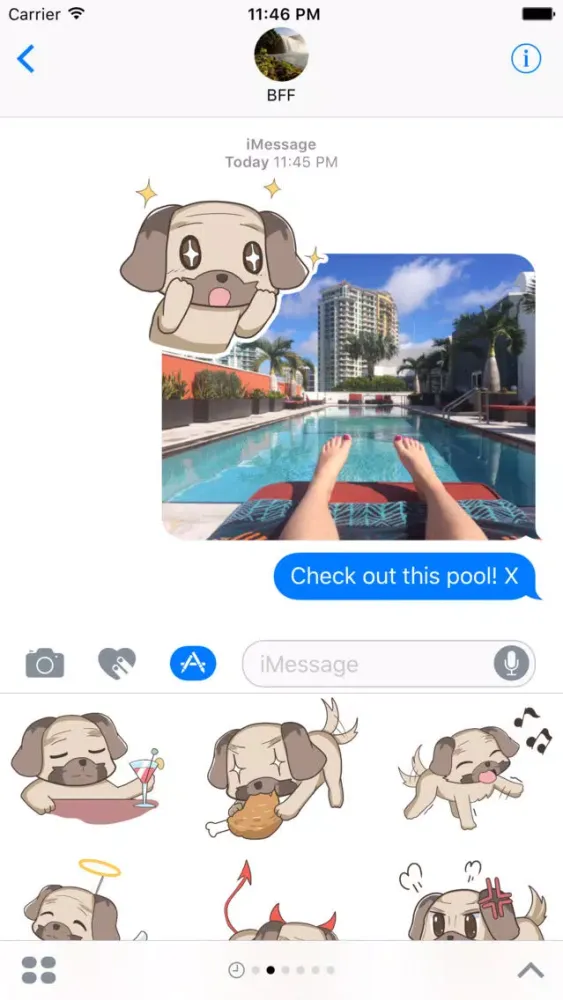 Ảnh chụp màn hình của Puppy Pug