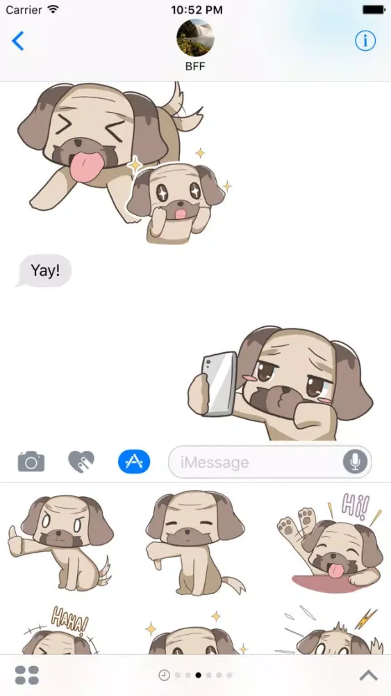 Ảnh chụp màn hình của Puppy Pug